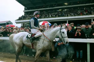 Crowds cheer jockey Simon Sherwood after he won the Gold Cup at Cheltenham on famous