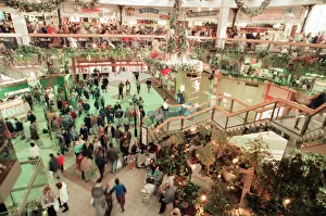 Trees Prints: Customers pack Merry Hill Shopping Centre in Brierley Hill, first day of Christmas Sales