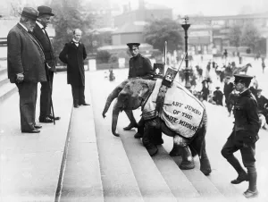 Elephant Prints: Daily Mirror Elephants Jimbo and Jumbo are greeted on the Portsmouth town hall steps by