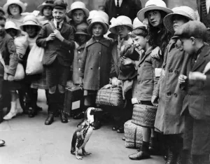 The Daily Mirror Pets. Squeak with the pets happy guests at Liverpool Street Station