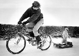Sledge Prints: Daniel Unsworth (16) takes his dog Dixie for a ride on a sledge towed behind his bicycle