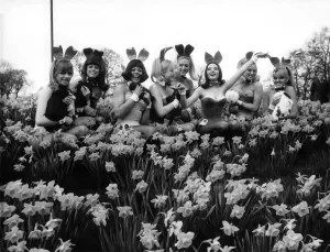 Rabbits Prints: Date that had to happen in Bunnyland: The rustle of Spring in Park Lane penetrated into a