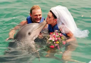 Dolphin Prints: David Blades marries bride Avril Thomson in the Blue Laggon on the Bahamas