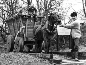 Wagon Prints: Dawn, the horse shows a certain reluctance to pull the replica 18th Century horse drawn