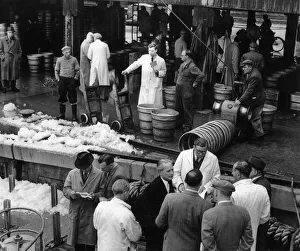 The days catch being auction at Hulls Fish Dock at St Andrews Dock. Circa 1956