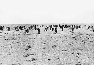 Two days work by British and Australian airmen turned the Tripolitanian desert into an