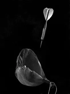 Death of a Balloon. Limp, Shattered, lifeless. November 1947 P004782