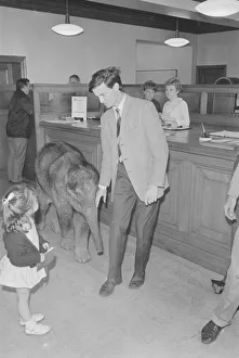Queue Prints: Debbie Gibb seen here with father Ian and Emily the baby elephat at Martins bank
