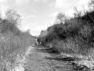 00076 Prints: Part of the Derwent Walk stretching along the old railway line from Consett to Swalwell