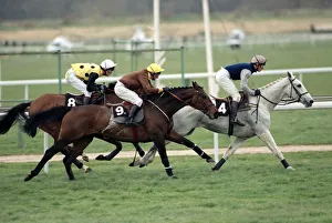 00096 Prints: Desert Orchid out in front during the Cheltenham Gold Cup race 15th March 1990