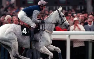 00097 Prints: Desert Orchid leads the field in the 1990 Cheltenham Gold Cup race. 17th March 1990