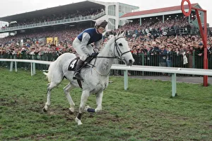 Desert Orchid and Richard Dunwoody finish 3rd in the 1990 Cheltenham Gold Cup