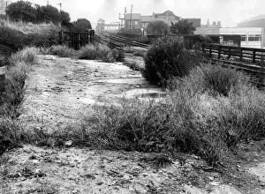 00399 Prints: This deserted spare ground is all that is left of the disused Scotswood Railway Station