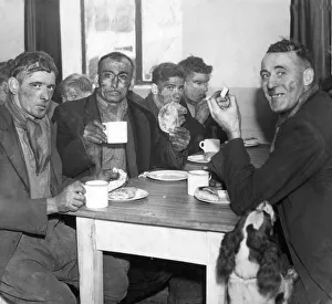 Determined not to be out of it'the favourite pet of one of the miners
