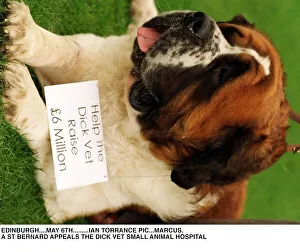 Dick Veterinary Small Animal Hospital Marcus a St Bernard dog helps in fund raising