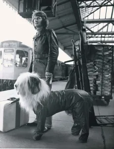 Digby the Dulux paint dog has his own special top coat when travelling with his owner