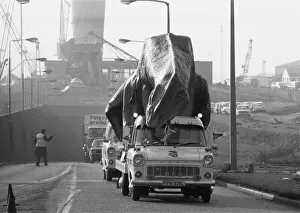 A dinosaur on the move in Essex. A 16 foot high and 45 foot long Cetiosaurus