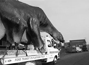 00896 Prints: A dinosaur on the move in Essex. A 16 foot high and 45 foot long Cetiosaurus