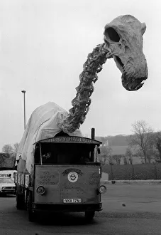 Weird Prints: Dinosaur Skeleton being transported from pinewood studios to manchester on the M1