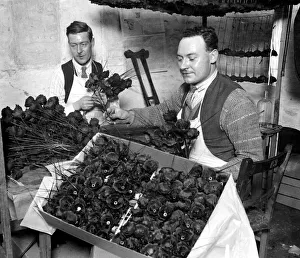 Disabled Prints: Disabled ex-servicemen, at the new British legion poppy factory at Richmond