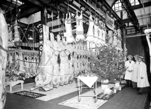 Cows Prints: This display of meat by G. H. Monk and Company is one of the highlights of the Christmas