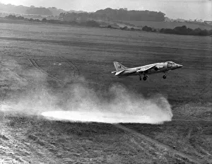 On the disused war time grass airfield of RAF Bircham Newton