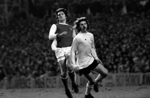 Division One Football, local derby match between Tottenham Hotspur