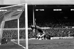 Division One Football, local derby match between Tottenham Hotspur