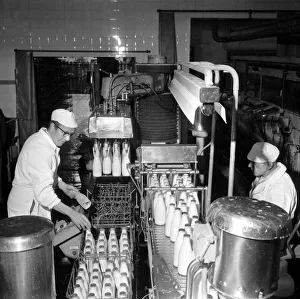 Dairy Prints: Dobsons Dairies October 1966 Workersr on Bottling and Packaging Machinery