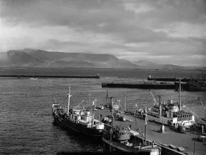 Trawlers Prints: The dock in Icelands captial Reykjavik September 1951 P003438