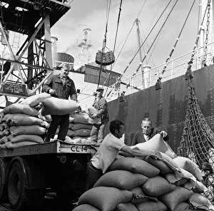 Dockers loading a ship at Gladstone Dock, Liverpool. 9th August 1965