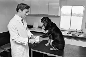 Its a dog life for this Birmingham vet. He is stationed in a mobile hut on land in
