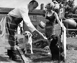 00056 Prints: The dog post, complete with hooks, is in constant use outside the butcher shop. Mr
