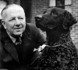 Dog to receive Bravery Award: Thane an eleven months-old retriever is to be presented