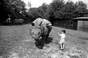 Broom Prints: Don t give me the brush off! David Kingnastor cleans Rhino Mahar