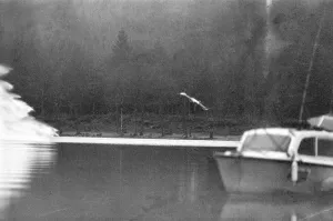 Donald Campbell, Coniston Water, Lancashire, pictures taken on the day of his death