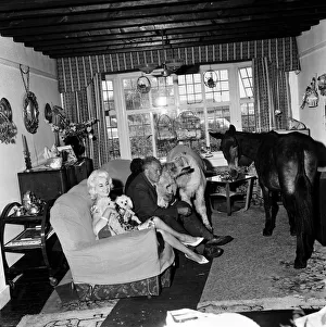 Donkey retirement home in Selsey, Sussex. John Lockwood who cares for 50 retired