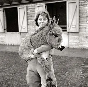 Donkey at Whipsnade Zoo Woman holding a donkey in her arms outside barns