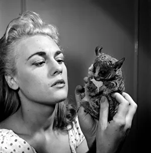 Dorinda Stevens seen here with her pet Bush Baby. 1959