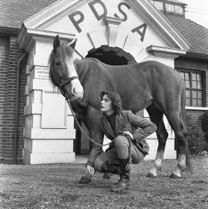 One Woman Only Prints: Dorothy H Cauie has a horse at the Peoples Dispensary for Sick Animals hospital