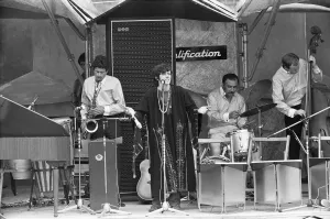 Kaftan Prints: Dovovan performing on stage at the 1967 National Jazz and Blues Festival at Royal Windsor