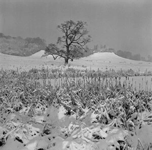 01358 Collection: The Dower House, Stoke Park, Bristol carpeted in snow 31st December 1961