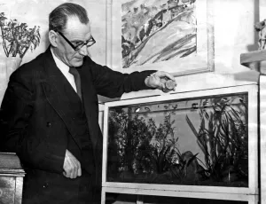 01187 Prints: Dr. Desmond MacMahon, Music Advisor at Birmingham Education Centre. Circa 1950