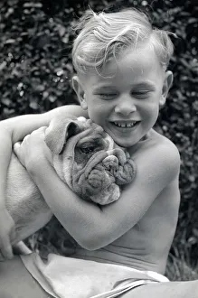 Dromside Destiny Bulldog has won seventeen awards in dog shows