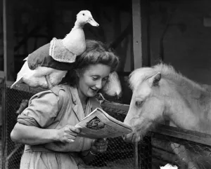 Duck Prints: This duck likes company. Felicity the duck is quite content to be a domesticated pet