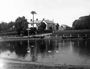 Cycling Prints: The Duck Pond, a well know spot on the Mouldworth- Delamere Forest Road, Cheshire