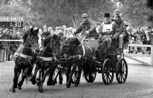 01430 Prints: The Duke of Edinburgh, Prince Philip at the Royal Windsor Horse Show. - 16 May 1989