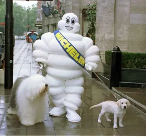 The Dulux Dog (L) Mr Michelin And The Andrex Puppy (R) Three Images Go For A Walk
