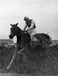 Festival Prints: Early Mist takes the last fence many lengths ahead of Mont Tremblant