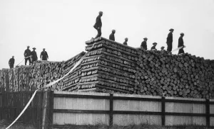 East Hull Auxiliary Fire Service seen here training amongst the pit props at an